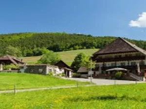 Image of Landgasthaus Grüner Baum