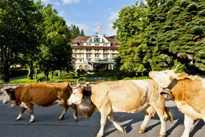 Image of Le Grand Bellevue