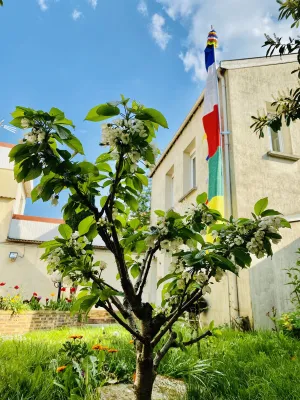 Image of Reims Sherpa Guest House