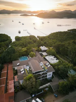 Image of The Funny Lion - Coron