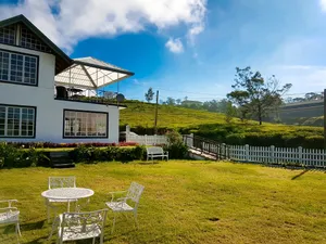 Image of The Tea Garden