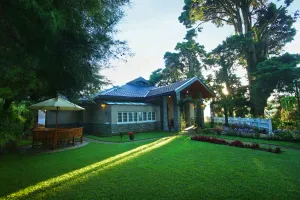 Image of The Firs