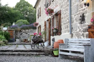 Image of La Belle Âme