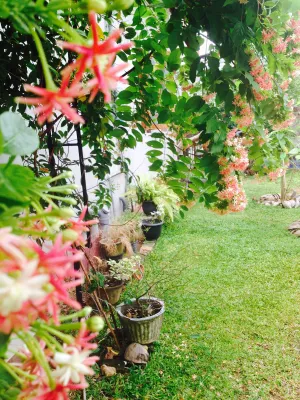 Image of New Manik Homestay