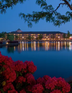 Image of Century Hotel