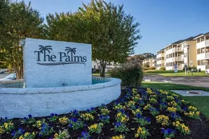 Image of Palm drive 36501 #1201