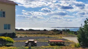 Image of We Play