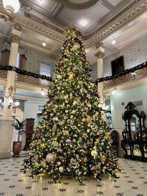 Image of Menger Hotel