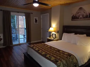 Image of The Carter Lodge On The River
