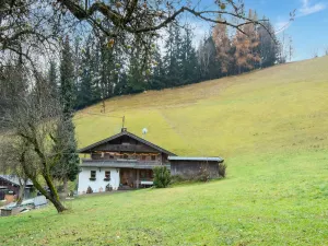 Image of Holiday Home in Fugenberg With a lot of Comfort