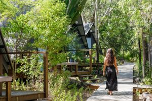 Image of Roamer Magnetic Island Koala Park - formerly Selina Magnetic Island