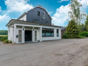 Image of Mansion with swimming pool and sauna
