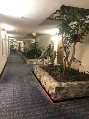 Image of The Monarch Resort