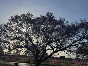 Image of Apartments on Turf Unit 2