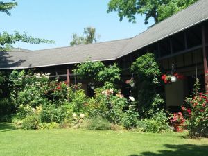 Image of Pension im Adventhaus