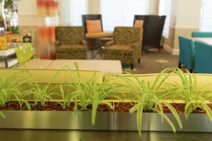 Image of Hilton Garden Inn Saint Augustine Beach