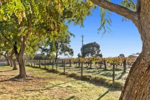 Image of Discovery Parks - Swan Valley