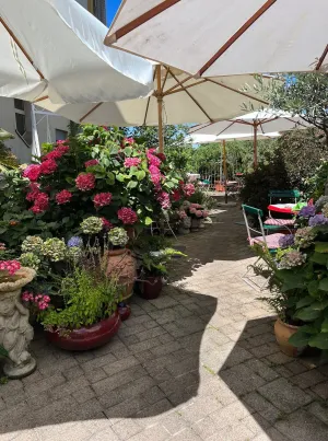 Image of Hotel Mozart