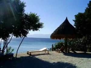Image of Sea Turtle House Moalboal