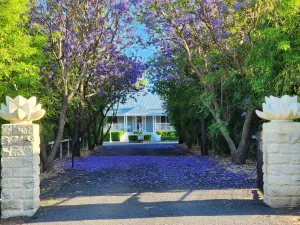 Image of Jubri's Hideaway
