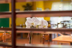 Image of Hotel Novalis