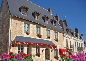 Image of Hôtel-Restaurant-Chambre Insolite Spa - Le XII de Luynes