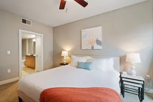 Image of Plano Amazing 2BD 2BA Apartment