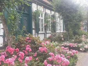 Image of Rosindell cottage
