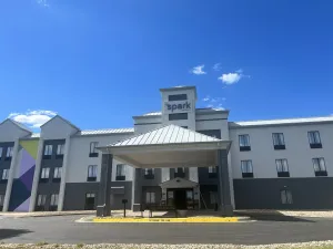 Image of Spark by Hilton Lansing