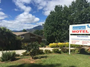 Image of Bogong Moth Motel