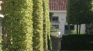 Image of B&B Dusk till dawn