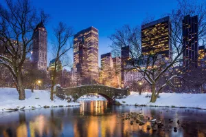 Image of The Pierre, A Taj Hotel, New York