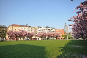 Image of City Park Boardinghouse - #25-30 - Freundliche Apartments, wahlweise mit Frühstück, im Zentrum