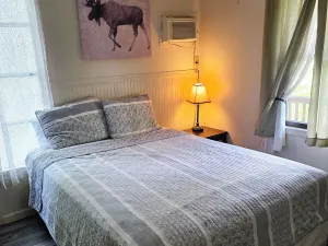 Image of Adirondack Sunrise Motel and Cabins