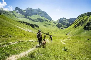 Image of SORBIERS SS11 VIEW & QUIET 6 Pers