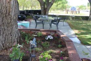 Image of Trees Motel