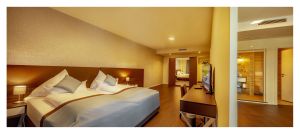 Image of Trip Inn Conference Hotel & Suites