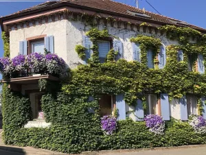 Image of Comfortable Accommodation in Middle of a Winery