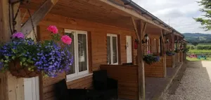 Image of The Flying Fish Stables