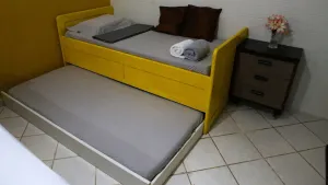 Image of paratemporada