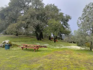 Image of The Ranch at Lake Sonoma