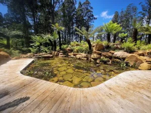 Image of Fern Falls Cottages - Garden Cottage