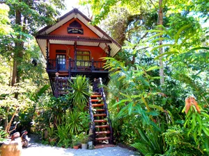 Image of Khao Sok Tree House Resort