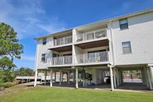 Image of Palmetto 306