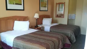 Image of Studio Apartments