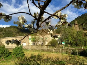 Image of Moulin A