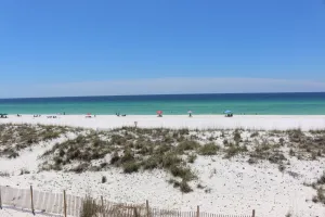 Image of Gulf Winds #202