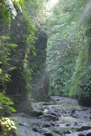 Image of Pramana Giri Kusuma