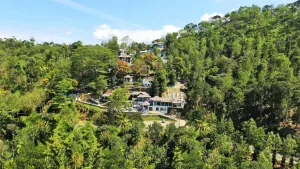 Image of Forest Canopy Thekkady