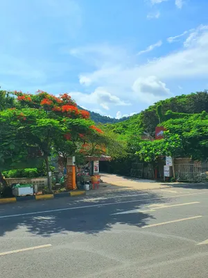 Image of Visal Sak Guesthouse